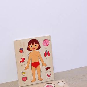 Montessori Jigsaw Puzzle Of Human Structure Kids Human Learning Toy,Anatomy Organ Model Anatomy Toy Children Education Toy