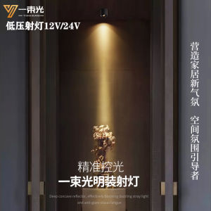 Focused Beam Spotlight Low Voltage Small Angle LED Surface Mounted Hallway Corridor Display Cabinet Wine Cabinet Entrance Lighting