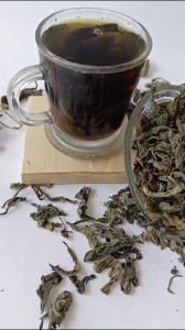 DAUN TEMPUYUNG KERING GRADE A