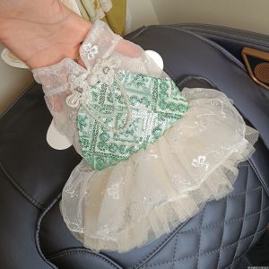 Mint Wave Princess Style Pet Dress Dog Skirt Teddy Yorkie Cat Skirts Autumn Princess Skirt for Pets