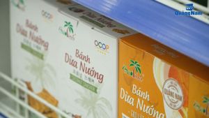 Bánh Dừa Nướng Bảo Linh vị Gạo Lứt Mè - Gói 500g - Đặc Sản Quảng Nam - Thơm Ngon Giòn Béo Ít Ngọt