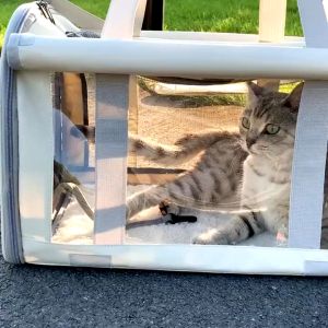 Cat Bag Pet Travel Carrier Cat Carrier Large Cat Backpack Kucing Beg Dog Cat Bag 宠物包貓包 Ventilated Design