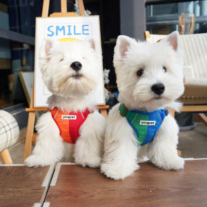 Reflective Dog Leash Vest Style Small Dog Harness Walking Rope Tie Dog Rope Dog Vest Leash YCQPET Brand Non-stretchable