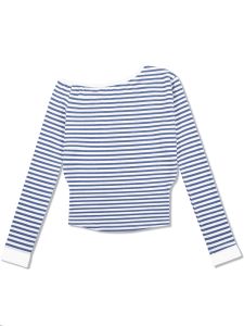 Áo Thun Dài Tay Ôm Vừa Vặn Mùa Xuân 2025 Tay Dài Họa Tiết Sọc Xanh Dành Cho Nữ Cỡ Lớn