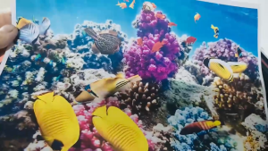 PHOTO TÀI LIỆU HỌC TẬP THEO YÊU CẦU IN TRẮNG ĐEN IN MÀU ONLINE GIÁ RẺ