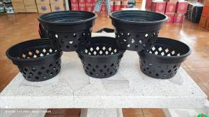 กระถางกล้วยไม้ 10 นิ้ว พร้อม 5 ใบ สินค้าจัดส่งและรายละเอียดตามนะครับ