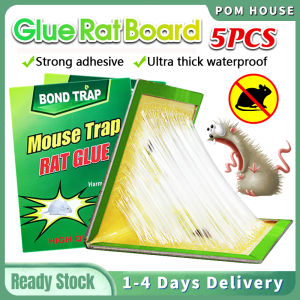 5PCS Super Glue Mouse Trap Snake Bugs Rat Mice Catcher Board Perangkap Lipas Foldable Pest Control Pad Perangkap Tikus Indoor and Outdoor (Pelekat Tikus) 抓鼠器