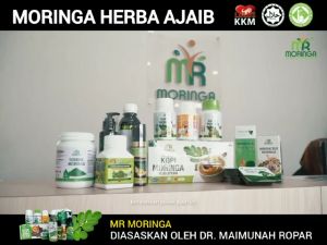 Capsules Mr Moringa Oleifera Supplement for Health Moringa /Berry /Kelor /辣木胶囊 400MG (60Biji/100Biji)