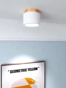 LED ceiling light nordic macaron modern minimalist creative solid wood Dining Room Bedroom Aisle