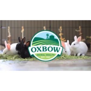 Oxbow Farm Fresh Hay # Timothy Botanical Alfalfa Hay # Rabbit Guinea Pigs Chinchilla Small Animals # 425g / 570g