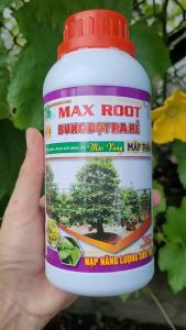 [Freeship Max] Chuyên dùng cho mai vàng BUNG ĐỌT RA RỄ mập thân kích rễ ra tượt mạnh phục hồi cây mai suy yếu chai 500ml_VTNN TIEN KHOA