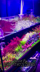 LGA ALL-IN-ONE AQUARIUM FERTILIZER | Superior Balance Vibrant | Nutrients for Planted Tanks