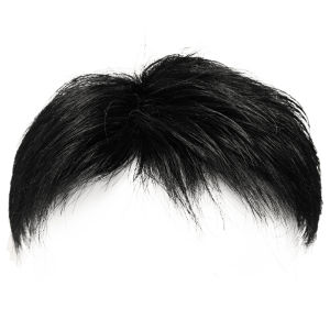 Weiwei | Top Hair Piece for Men Real Hair Short Style Natural Micro Part Balding Solution