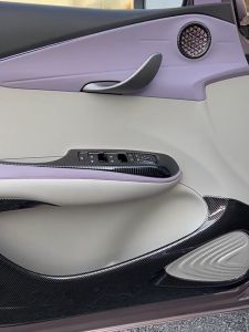 BYD Dolphin Speaker Cover Interior Car Accessories 2Pcs Car Inner Door Cover Decor Audio Speaker for Dolphin