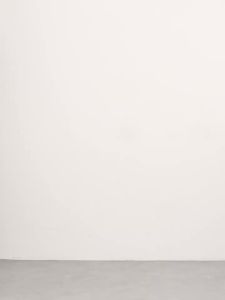 D-PLAY | Luxurious Dazzling Elegant Long Waisted Dress