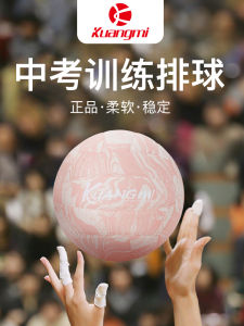 Enthusiastic Fan Pork Volleyball No. 5 Senior High School Entrance Examination Training Student Only Pink Customized Gift Soft Leather Hard Row Competition Ball