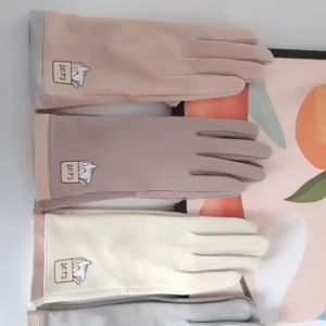 ถุงมือผ้าฝ้าย Cotton ขนาดใหญ่ ซ้าย-ขวา งานดีมาก มี 4 สี ขนาดเดียว สินค้าพร้อมส่งมีสต็อคในไทย