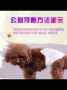 Tã Bỉm cho chó mèo đực và cái đủ kích cỡ