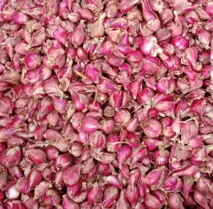 bawang merah brebes fresh 1kg