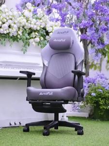 Ergonomic Gaming Chair