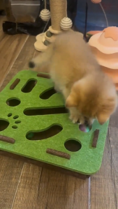 Interactive Cat Puzzle Feeder Toy Felt Maze Box with 3 Rolling Balls for Indoor Cats Kittens Mental Stimulation Slow Feeding & Fun Exercise Encourages Natural Hunting Instincts