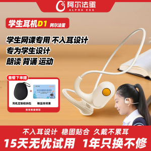 Alpha Egg D1 Bluetooth Earphones Double Ear Use Non-Auto Switching IP54 Waterproof Magnetic Charging Chinese Manufacture