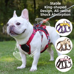 FENGCAO | Anti-escape Dog Harness and Leash