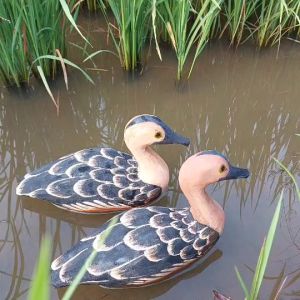 นกเป็ดยาง นกปลอม ทำจากยางEVA เหนียวทนทาน น้ำหนักเบา พกพาสะดวก ใช้สำหรับล่อนกเป็ดจริง นกเข้าเร็วไม่ระแวง ส่งฟรี