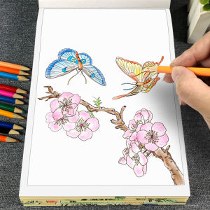 GEXINGYUE | Beginner Chinese Painting & Line Drawing Copybook Sketching and Coloring Set