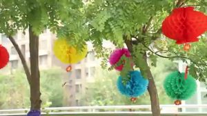 Cẩm tú cầu Ngũ Sắc trang trí SET gồm 10 cái chất liệu không thấm nước.