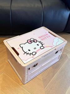 Cute Cartoon Cat Premium Trunk Organizer