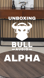 Bull Audio Alpha Bluetooth Party Speaker with Deep Bass and Dynamic RGB Lights