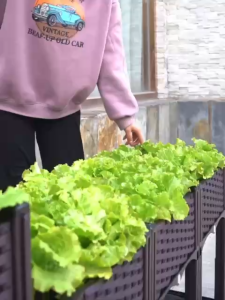 Phụ kiện chậu lắp ghép 40cm x 40cm màu nâu