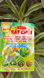 Phân Bón Vua Bật Chồi 50g Kích Mầm Ra Lá Nhanh Cho Rau Hoa Cây Cảnh Có Loại Thường Và Chelate Cao Cấp