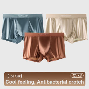 3pcs Satin Light Luxury Mens Ice Silk Boxer Shorts Mulberry Silk 10A Antibacterial Crotch Plus Size Seamless Underwear for Men