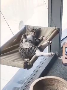 【สินค้าสปอต🔥】รังแมวสไตล์เปลญวน เปลแมวกระจก พลังดูดขนาดใหญ่ โครงเหล็ก รังแมวติดหน้าต่าง รองรับน้ำหนักได้ 20KG