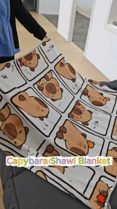 YANYANGTIAN Milk Fleece Blanket Shawl and Office Nap Blanket Coral Fleece Single Student Dormitory Blanket Machine Washable