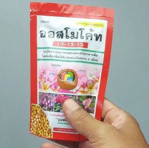 ปูเปิ้ล 3 เดือน 100 กรัม สูตรเสมอ บำรุงต้น ใส่ต้นไม้ ใส่ต้นไม้โต ในรูปลักษณ์ 100 กรัม