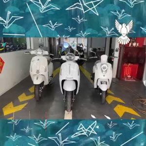 Vespa S125 Interchanged Model