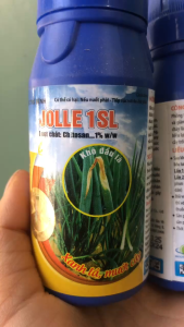 PHÂN JOLLE 1SL (Xanh lá mướt cây) - MAI HUY SINCE 2008