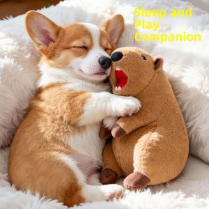 HOOPET | Sounding Companion Toy for Puppies
