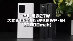 WEKOME (Model: WP-94) Kinkong Dinba 27W High-Power Cabled Powerbank (20000mAh)