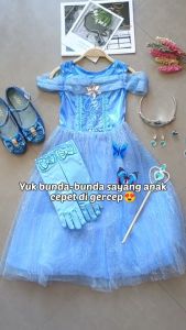 Dress Princess Anak Lengan Panjang Pink dan Biru