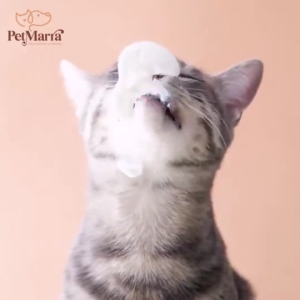 80g PetMarra All Breeds Yoghurt Souffles All Stages Adult Kitten Wet Food Pouch Pet Food Essentials