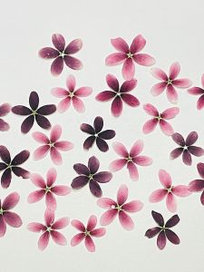 Handmade Adhesive Mod Podge Acrylic Fluid Art Photo Transfer Candle Press Flower DIY Craft Glue Wood Board Transfer Adhesive