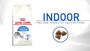 Hạt cho mèo Royal Canin Indoor Thức ăn cho mèo trưởng thành 2kg Petemo Pet Shop
