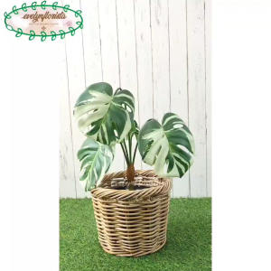 Pohon Hias Artificial Daun Monstera Variegata X5 Latex Cover Keranjang Rotan Bulat Dekorasi Rumah Ruang Tamu