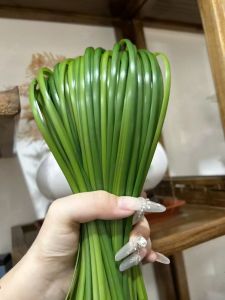 FUXIANHAO | Handmade Rattan Weaving DIY Bag Kit Elegant Hollow Design