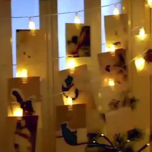 GTB - E014 - 35 meter Klip Akrilik - Jepit Foto Transparan - Acrylic Photo Clip untuk Lampu Tumblr Light Lamp E014