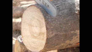 High-Quality Chainsaw Chain 16/20/22/24 Inch for Gasoline Chainsaw - Original Quality Local Delivery